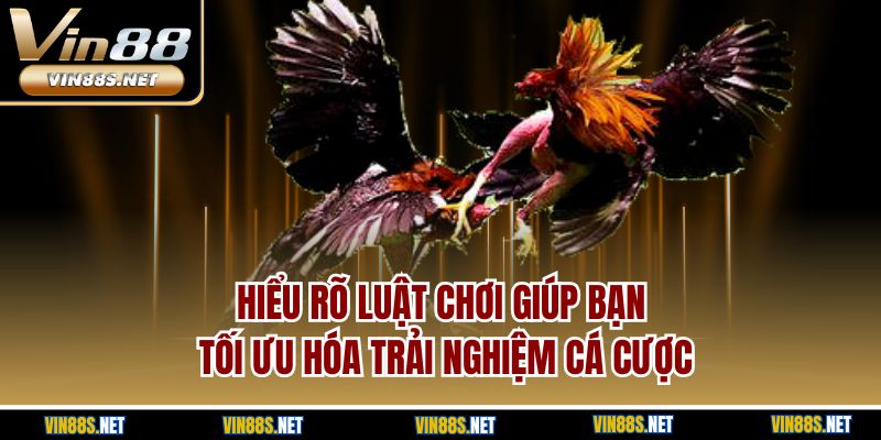 Hiểu rõ luật chơi giúp bạn tối ưu hóa trải nghiệm cá cược